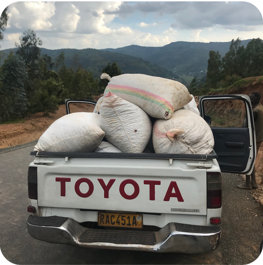 New Coffee: Our First Coffees of 2019